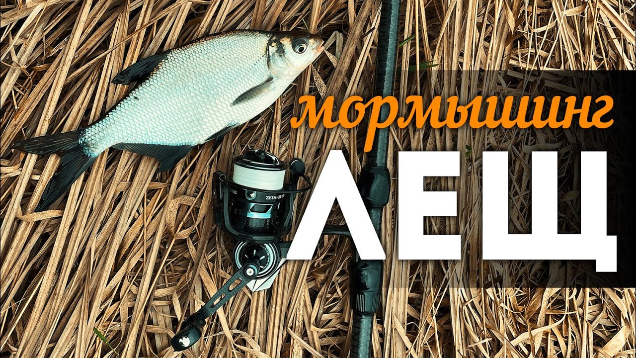 КАК найти и поймать ТРОФЕЙНОГО ЛЕЩА? МОРМЫШИНГ: ЛОВЛЯ НА РЕКЕ - разбор успешной рыбалки! #мормышинг