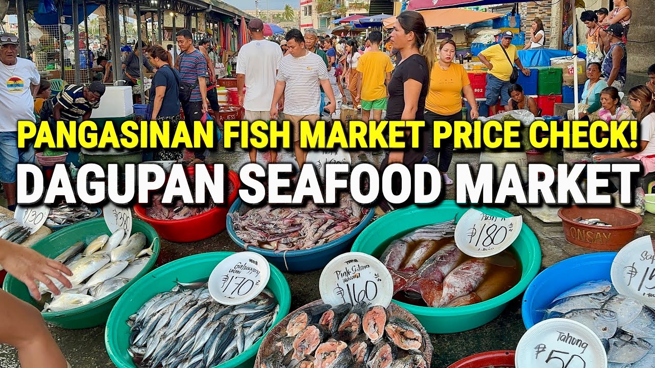 CHEAPEST SEAFOOD? Dagupan Philippines Seafood Price Check 2026! BIGGEST