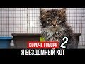 КОРОЧЕ ГОВОРЯ, Я БЕЗДОМНЫЙ КОТ 2 [От первого лица] КОРОЧЕ ГОВОРЯ, ИСТОРИЯ ОДНОЙ ЖИЗНИ