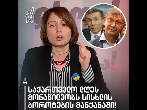 „საქართველო დღეს მონაწილეობს სისხლის ბოროტების მანქანაში“ - ელენე ხოშტარია