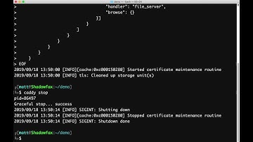 Caddy 2: Changing Configuration