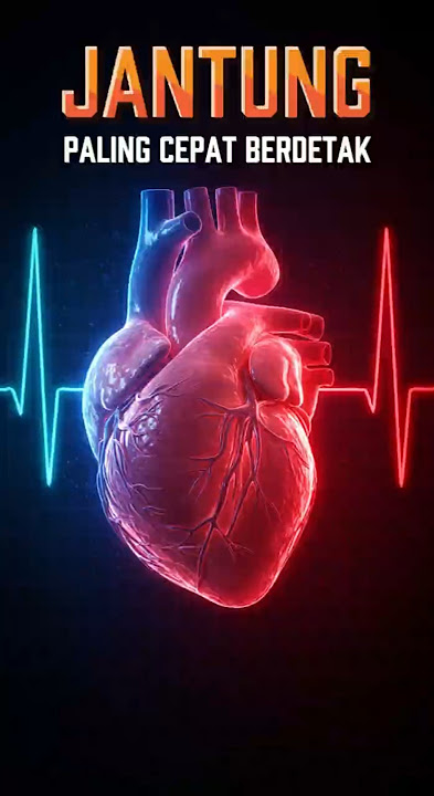 Jantung Paling Cepat Berdetak #facts #history #facts #heart