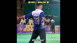 🥎VADIL \ bowling 🥎 Sumit 💯 out 💯 😎 🔥🏏💪 ...