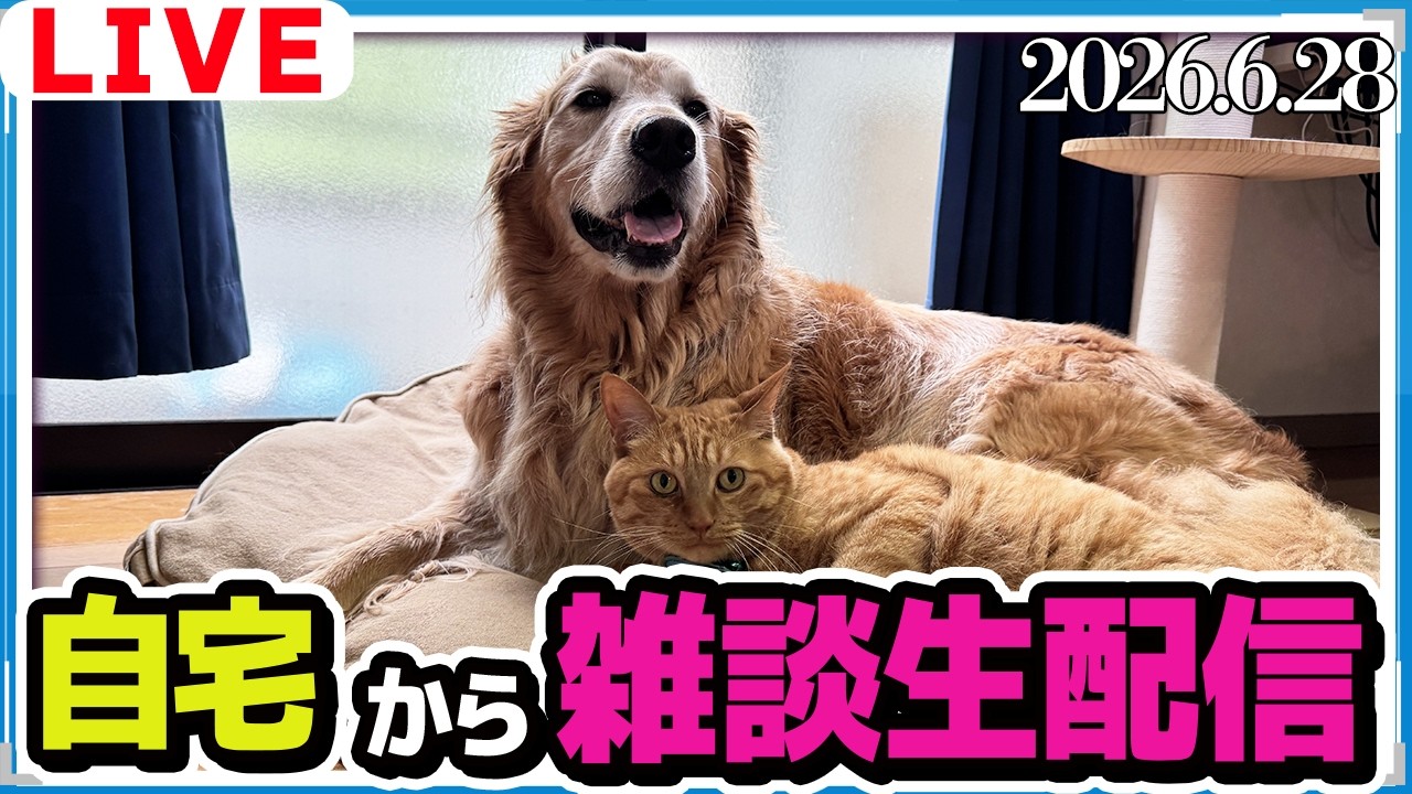 自宅から雑談ライブ配信