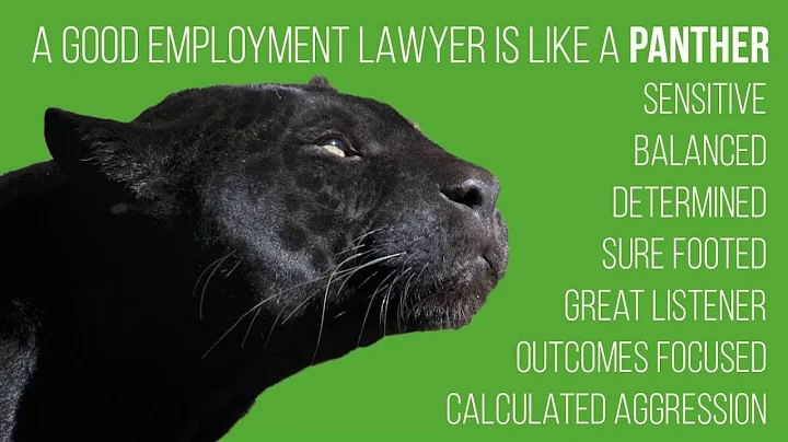 Floyd Graham: What Makes A Great Employment Lawyer?