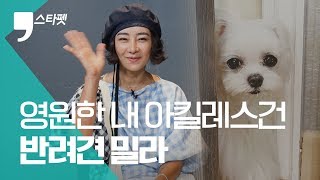 ‘반려견 밀라, 인생 최고 선물이 제 아킬레스건이죠’ 배우 이본