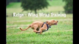 Reign wing wrap training Oct 2019