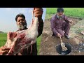 Mutton Leg Steam In Tandoor | Mutton Raan Steam In Hole | Mubarak Ali | Tour And Taste