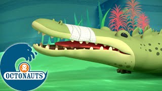 Octonauts - Les crocodiles marins et les lamantins | Dessins animés pour enfants