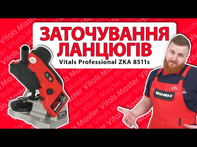 How to sharpen a chain correctly. Working with the Vitals