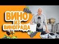 Как сделать домашнее вино из винограда? Простой рецепт вина в домашних условиях!