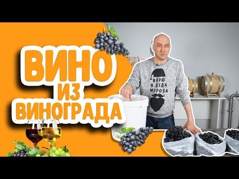 Вопрос: Как делать домашнее вино?