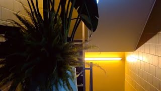 видео: #dobbi&finnishlive  🇫🇮  -  🇸🇮. Между прошлым и настоящим . картинка: #dobbi&finnishlive  🇫🇮  -  🇸🇮. Между прошлым и настоящим .