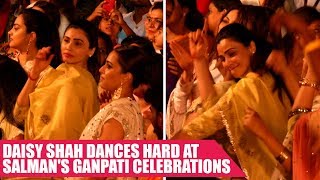 Daisy Shah Shakes A Leg At Salmans Ganpati Celebrations