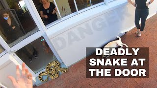 DEADLY SNAKE at HER door!