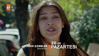 Kırgın Çiçekler 79 Bölüm fragman 