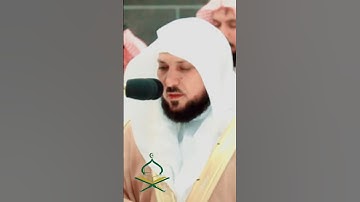 تلاوة امام الكعبة بصوت جميل  بصوت حافظ المقيلي #تلاوات #kaba #makkah