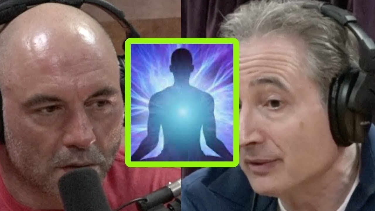 Physicist Brian Greene on What He Learned from a Meditation Class || Joe Rogans