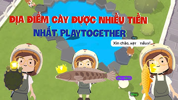 Play Together | Bật mí địa điểm câu cá cày được nhiều tiền nhất game