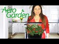 AeroGarden Review | Testing Cool Kitchen Gadgets