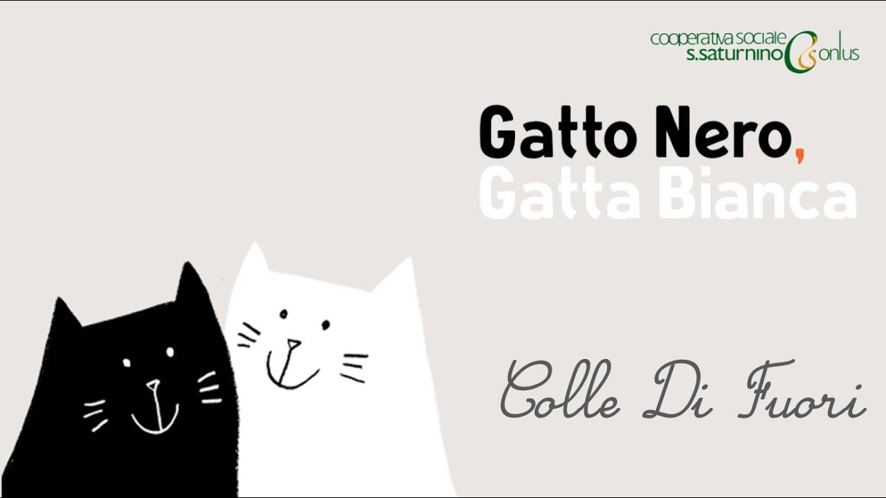 Gatto Nero, Gatta Bianca - Maestra Valentina 