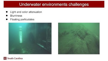 Comparison of Visual-Inertial-Based State Estimation Algorithms in the Underwater Domain