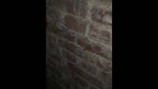 Haunted Southampton- The vaults