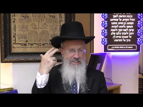 הרב אברהם יוסף מי למד תורה עם יוסף ויעקב חידוש מדהים פרשת מקץ