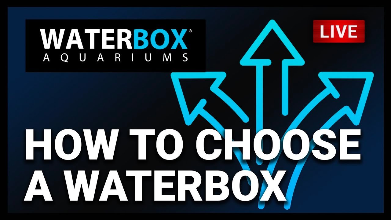 Episode 43 How to Choose a Waterbox YouTube