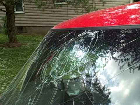 Michael Wahl damaged damage