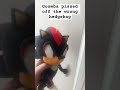 Goomba pissed off the Wrong Hedgehog #comedy #funny #shadowthehedgehog #plush #lordjk #tal_on