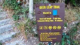 Roaring River,  Spring cave, fish hatchery, and a little bit of the trail