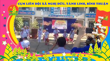 Tiết mục đồng diễn semaphore cụm xã Nghị Đức