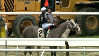 Seize the Grey breaks maiden at Saratoga - July 29, 2023