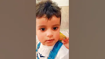 غندوره علي كتف الياس 