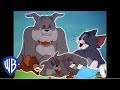 Tom y Jerry en Latino | El triángulo de la amistad | WB Kids