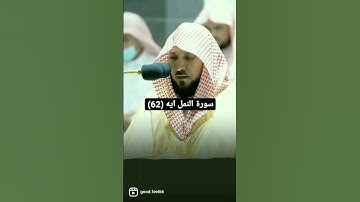 ايه 62 من سورة النمل بصوت المعيقلي🔴من فضلك تابع الصفحة🔴 #قرآن #ماهر_المعيقلي #ياسر_الدوسري #تلاوات