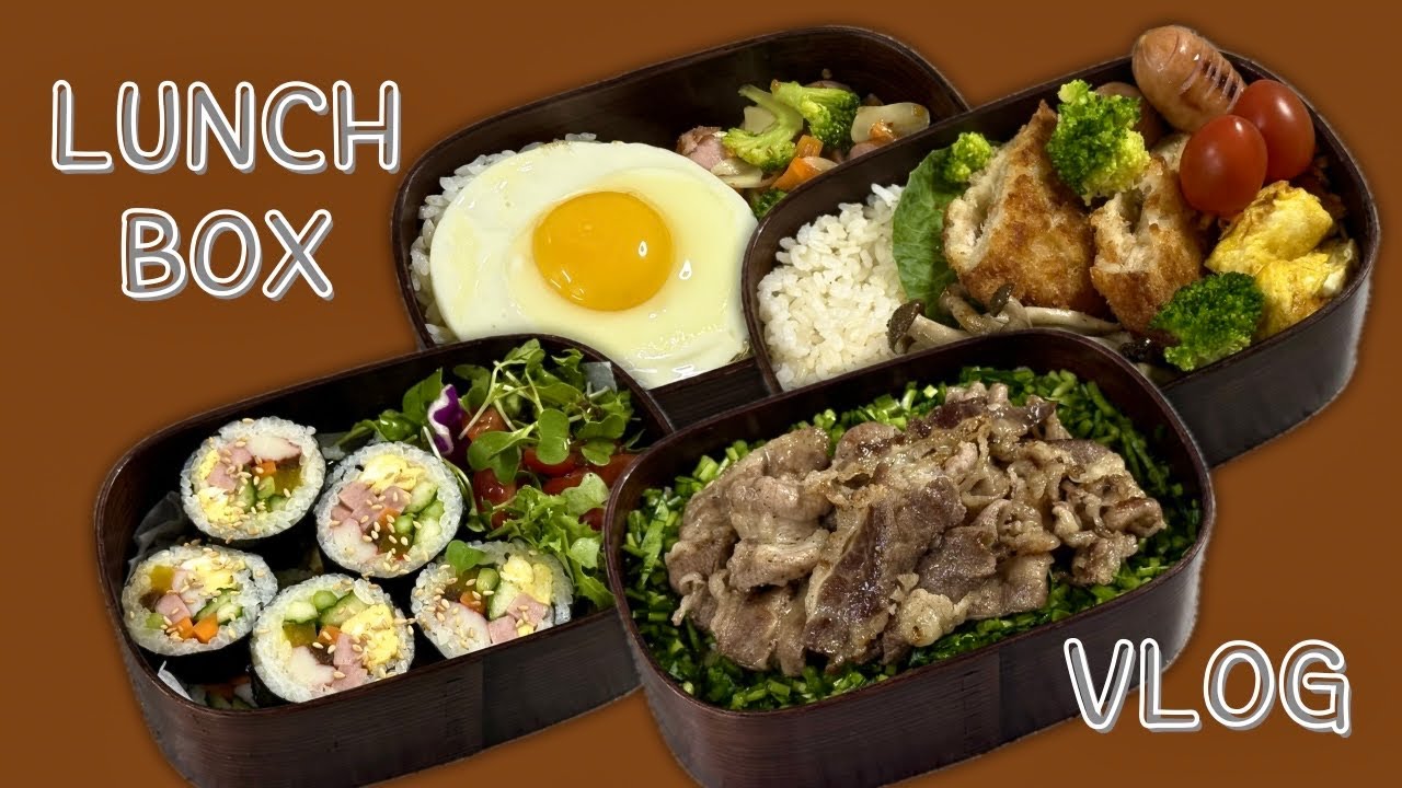 [직장인도시락모음] 월급 받기 일주일 전.. 💸통장도 털고..냉장고도 털어서 만든 도시락 브이로그 💊