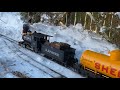 Garden Trains in the Snow