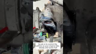 Car Shaking? Clean This Before Paying for Repairs 🚗🧼