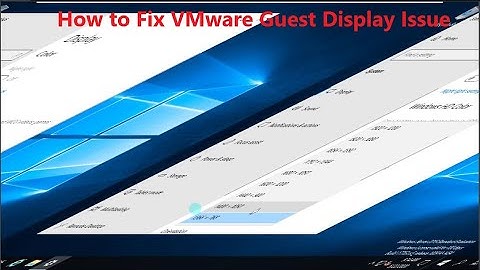 VMware Guest Machine Display Issue - Fixed