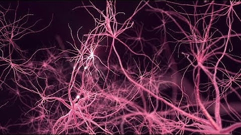 SwiftKey Neural - the world