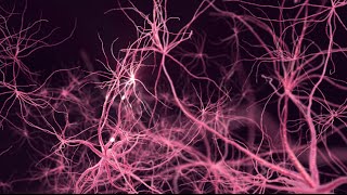 Swiftkey Neural - The Worlds First Neural Network Keyboard