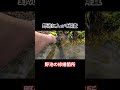 極秘！秘密の野池に魚を放流Part29 #熊本 #shorts #shortvideo