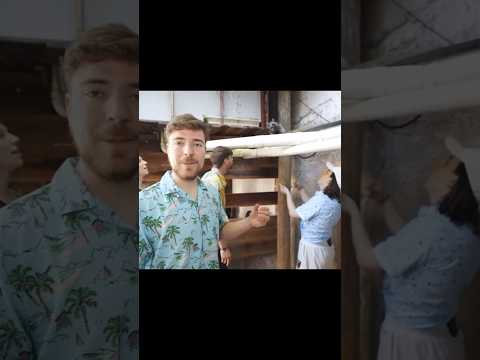 Топ каналов на
