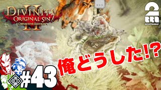 #43【RPG】弟者,兄者,おついちの「Divinity :Original Sin 2」【2BRO.】