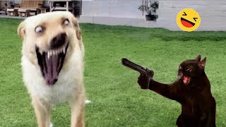 Funniest Cats And Dogs Videos   Best Funny Animal Videos 2024 #17