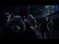 The order werewolf (edit)