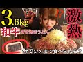 【大食いチャレンジ】激熱！和牛すき焼きうどん３.６kg３０分以内にシメまで食べられる？【デカ盛り】