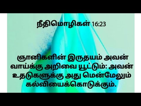 நீதிமொழிகள் - 16 : 21 - 34